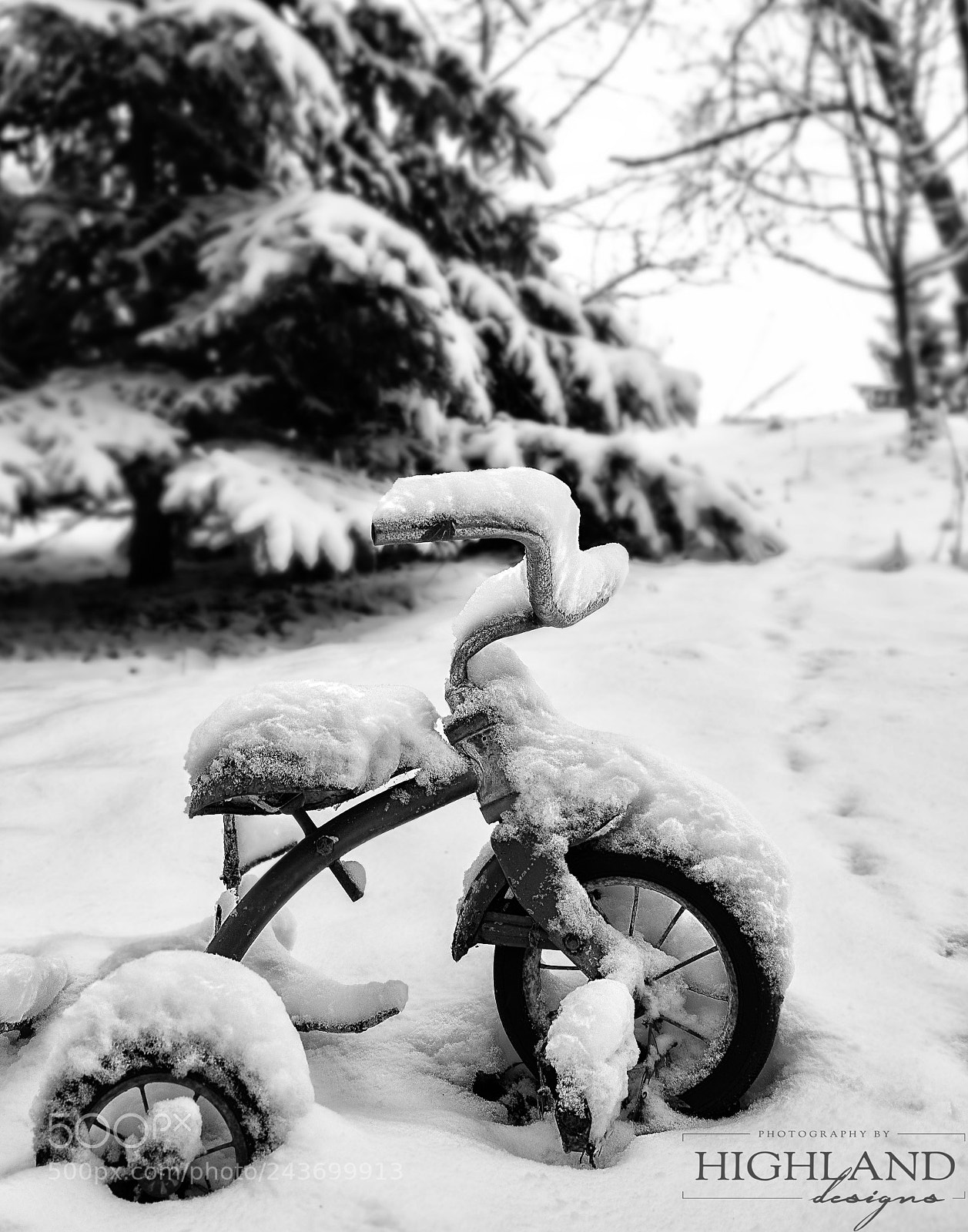 Sony a7 II sample photo. Tricycle in the snow photography