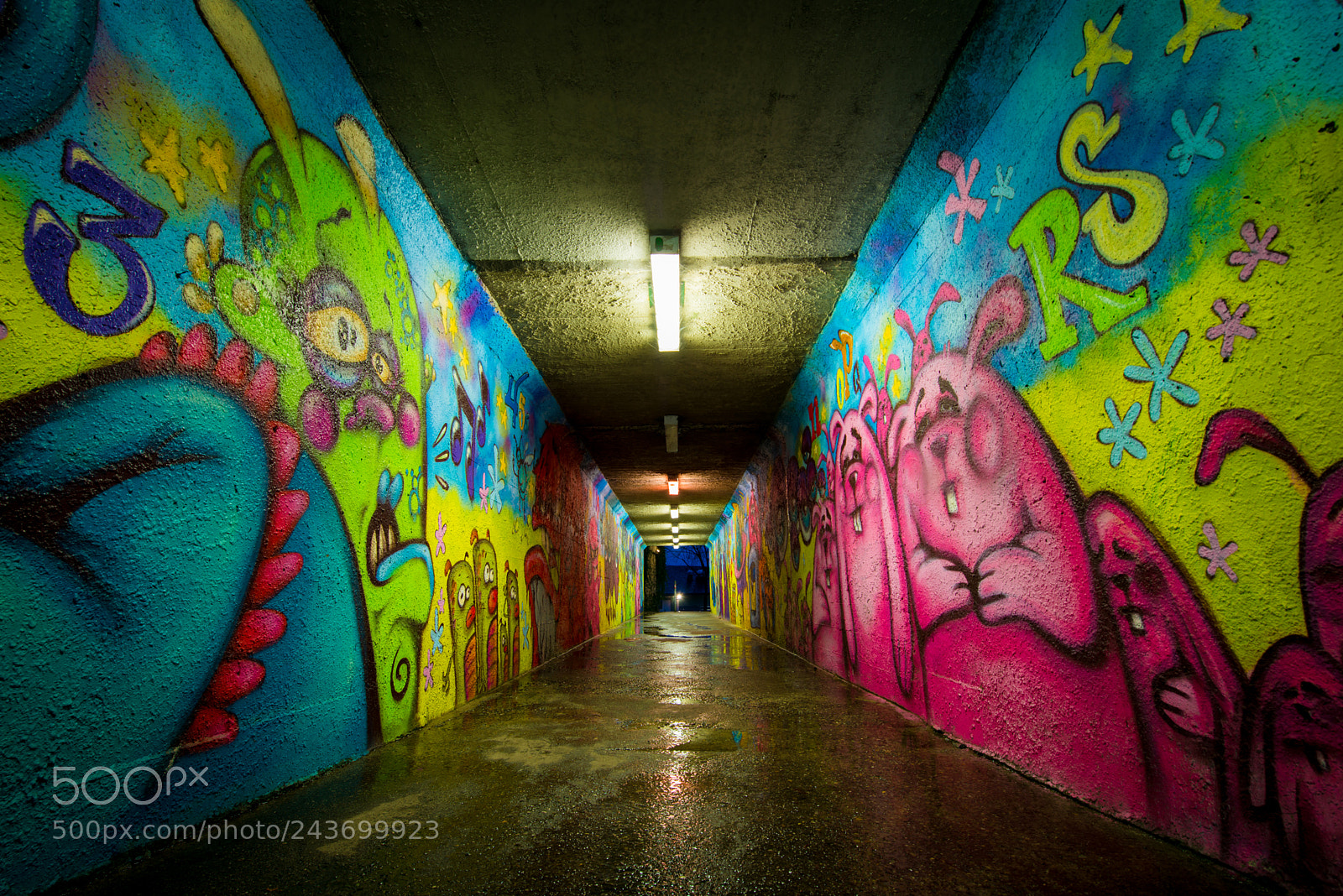 Nikon D800 sample photo. Graffiti art photography