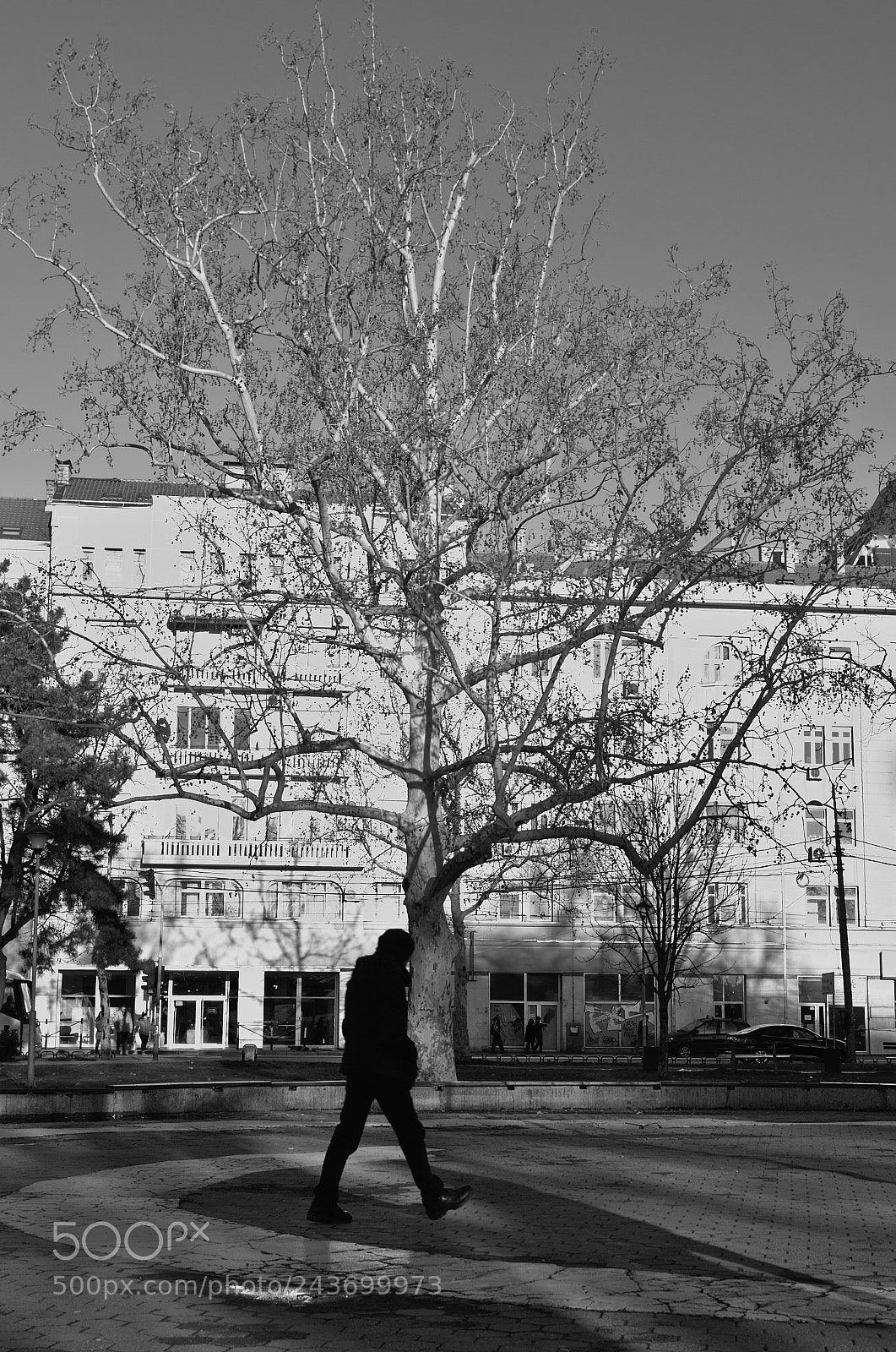 Nikon D5100 sample photo. Drvocovek photography