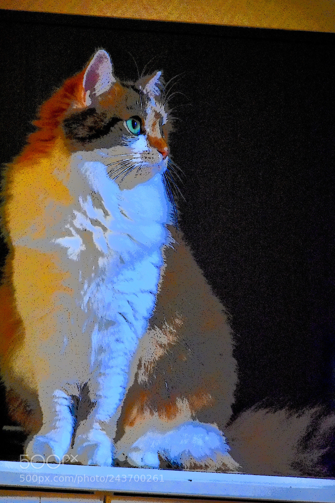 Nikon D3400 sample photo. Aglance photography