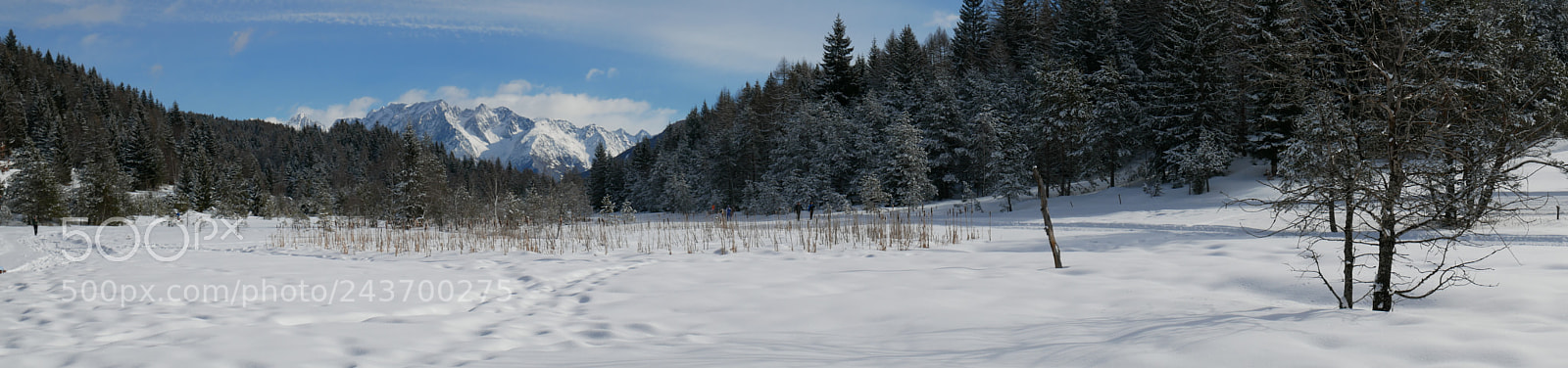 Panasonic Lumix DMC-GX85 (Lumix DMC-GX80 / Lumix DMC-GX7 Mark II) sample photo. Pian di gembro peat photography