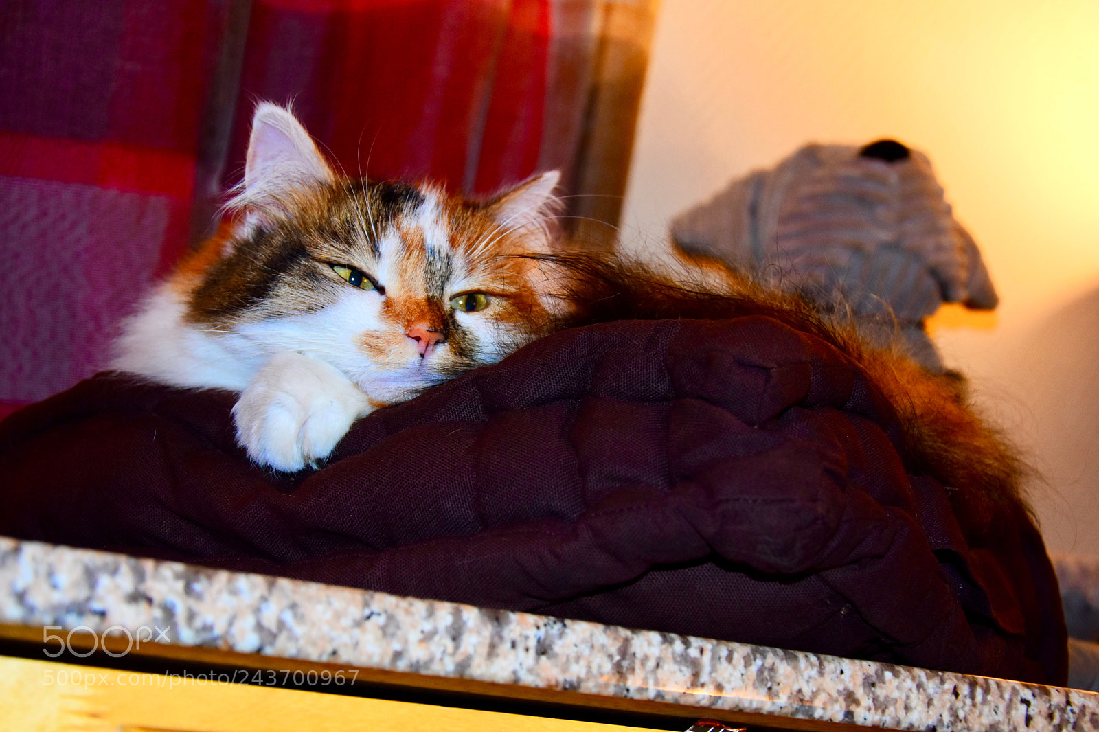 Nikon D3400 sample photo. Hum photography