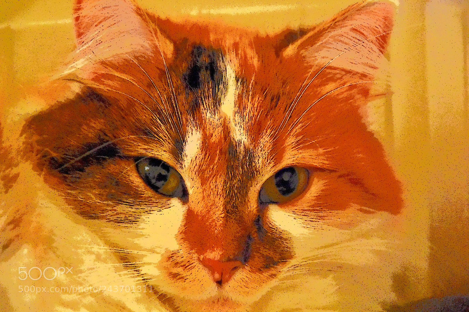 Nikon D3400 sample photo. Lou photography