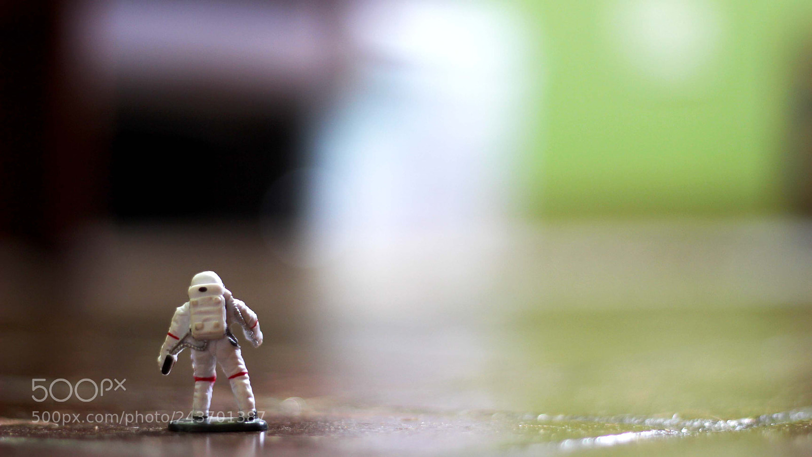 Canon EOS 600D (Rebel EOS T3i / EOS Kiss X5) sample photo. The path that lies photography