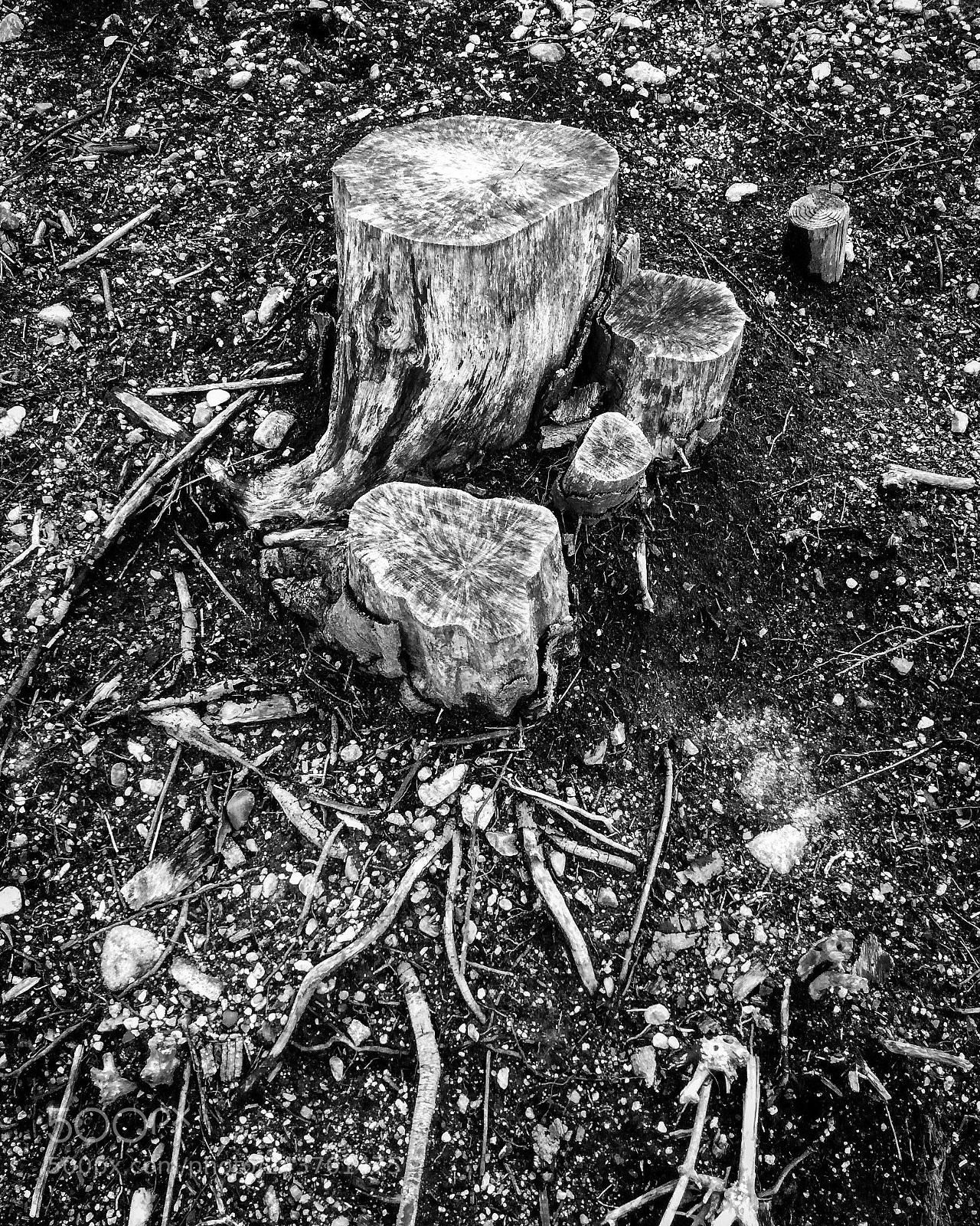 Apple iPad Air sample photo. Untitled photography