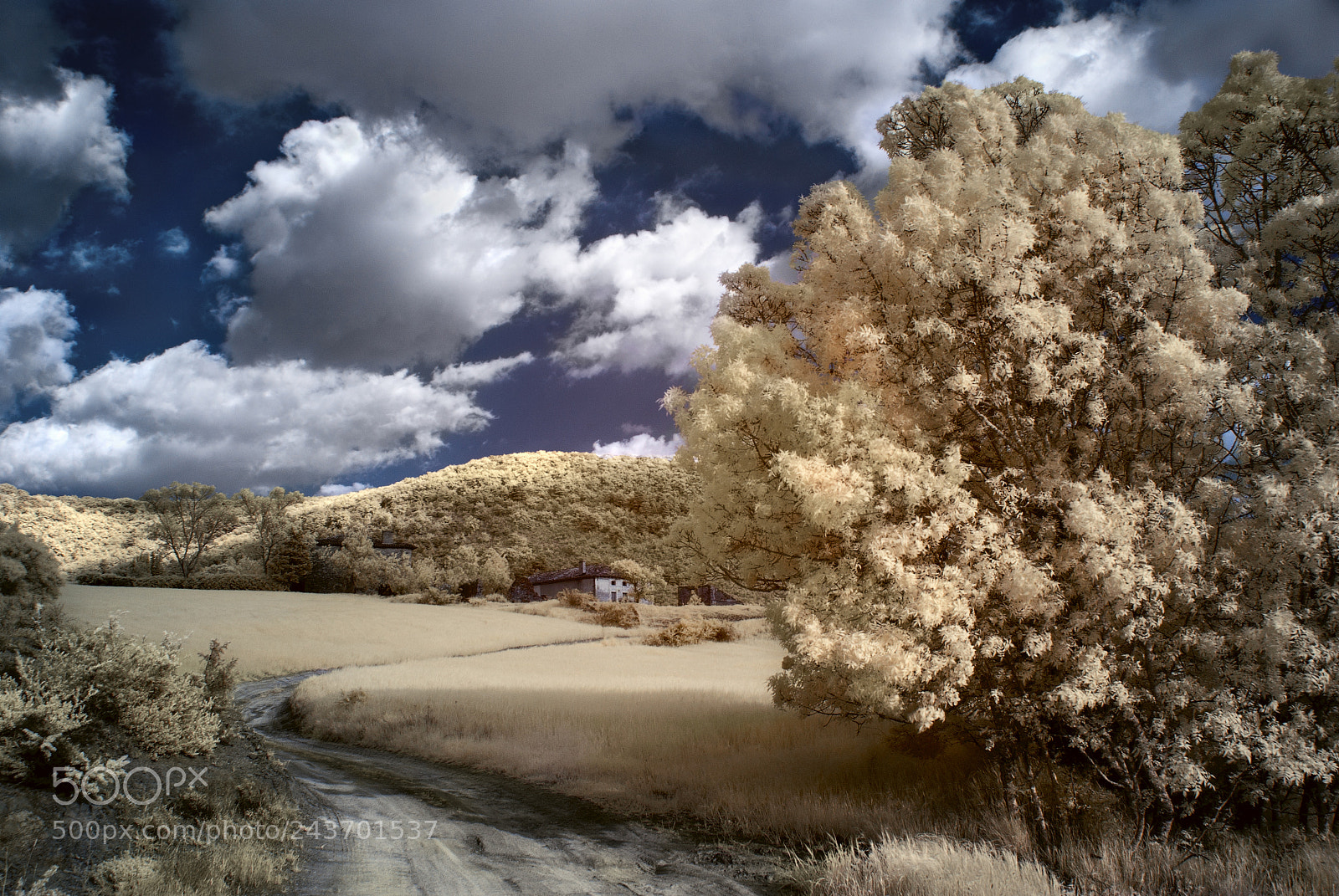 Pentax K10D sample photo. Orradre (navarra) photography
