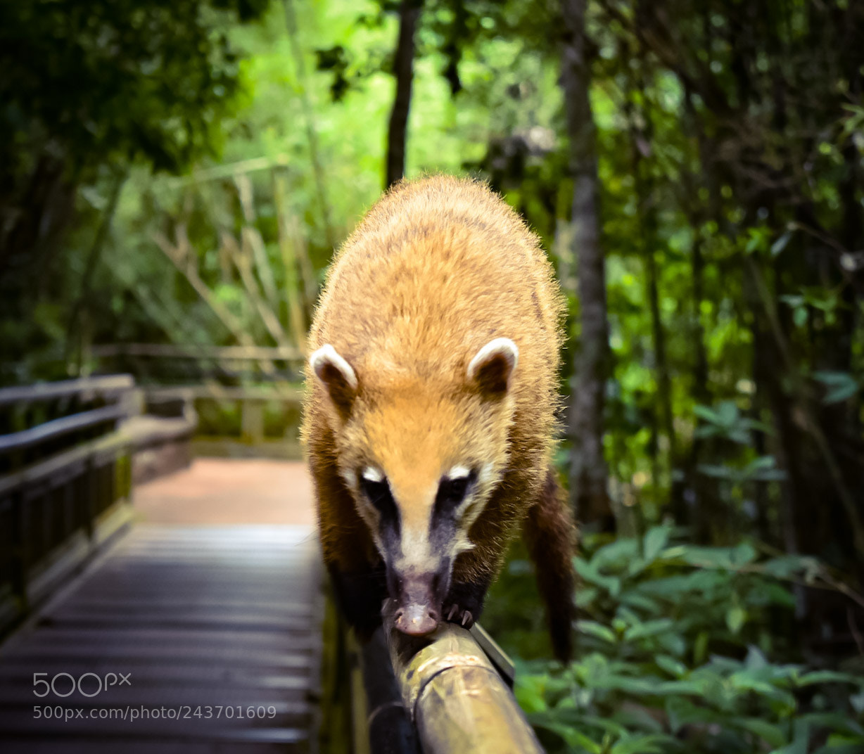 Nikon D3400 sample photo. Untitled photography