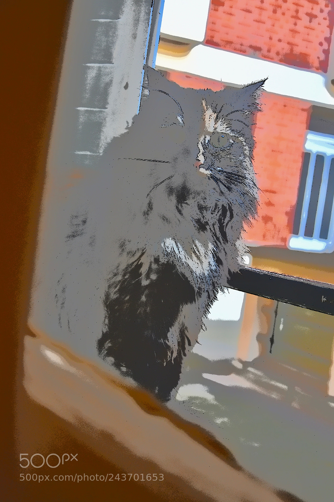 Nikon D3400 sample photo. Shadowm photography