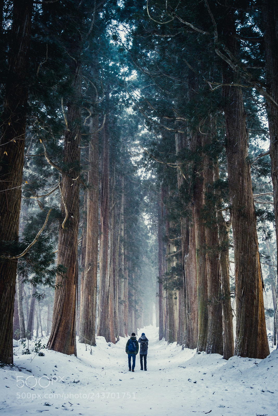 Sony a7R sample photo. Walking the trail photography