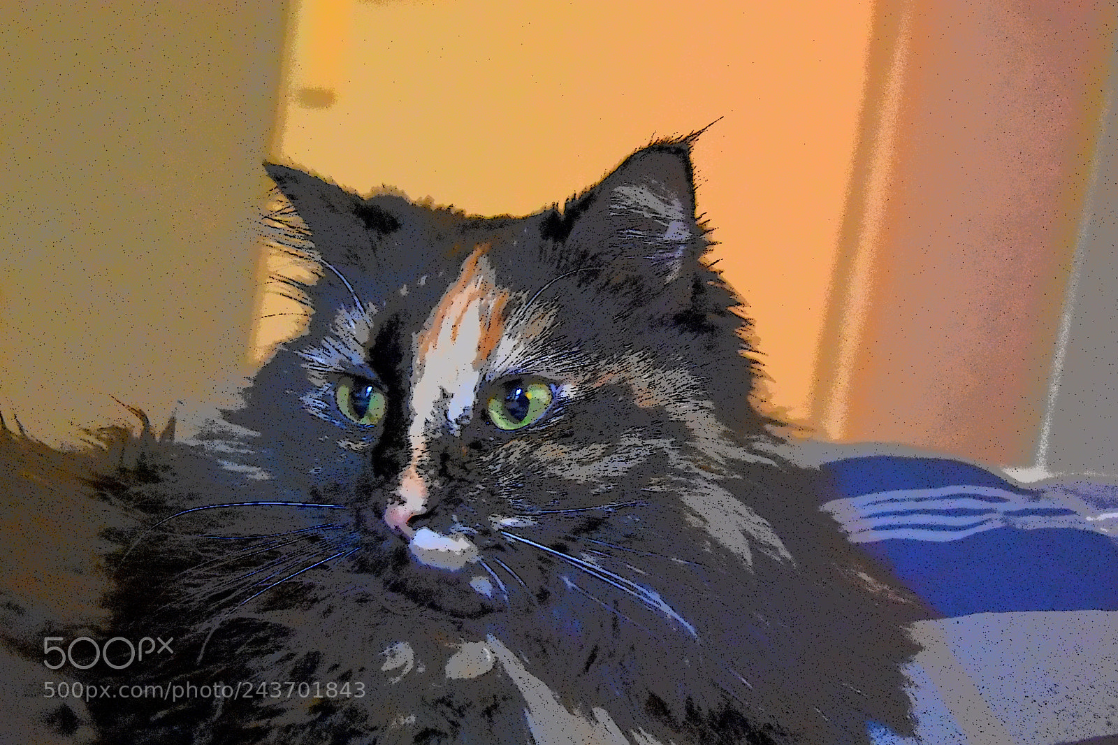 Nikon D3400 sample photo. Whatsgoingon photography