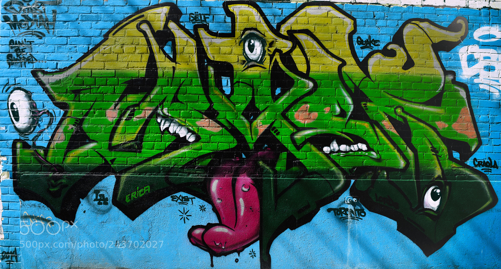 Nikon D5500 sample photo. Tongue photography
