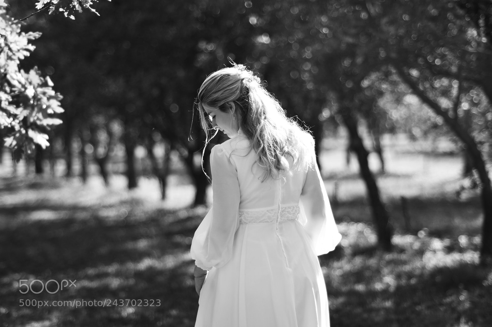 Nikon D7200 sample photo. Untitled photography