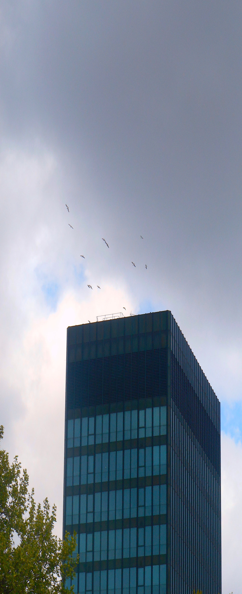 Nikon COOLPIX S3400 sample photo. Birds and dark clouds over office block photography