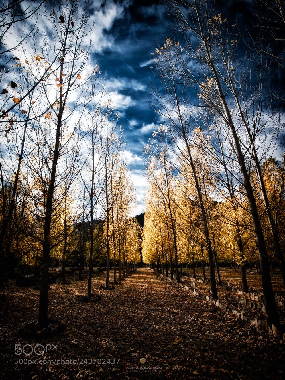 Olympus E-3 sample photo. Decadencia photography