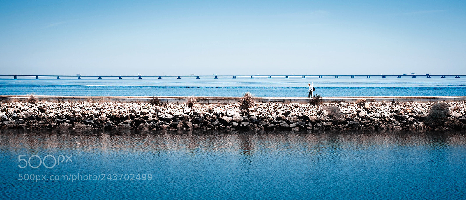 Fujifilm X-E2 sample photo. Lonely walker photography