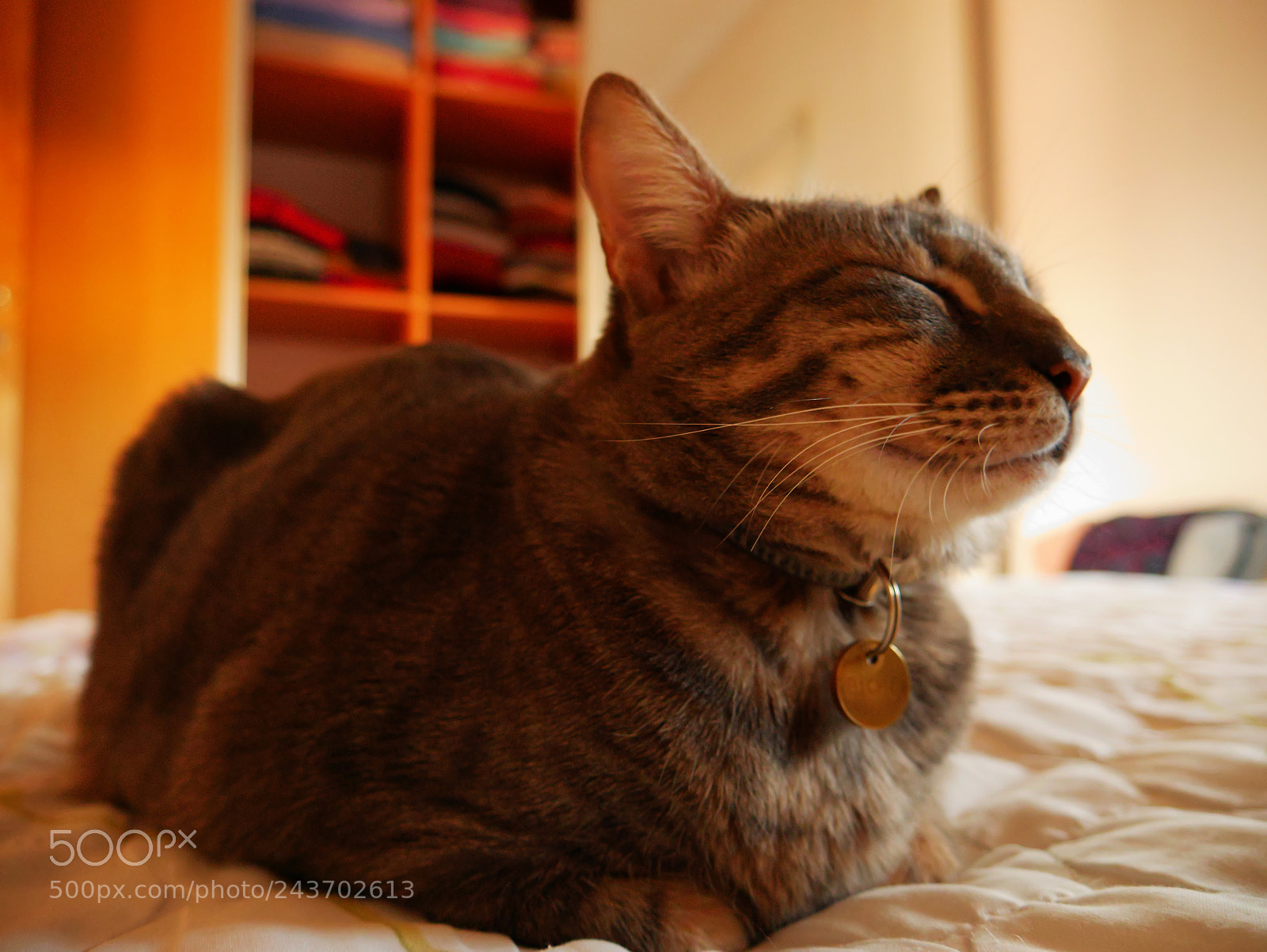 Panasonic Lumix DMC-G7 sample photo. P photography