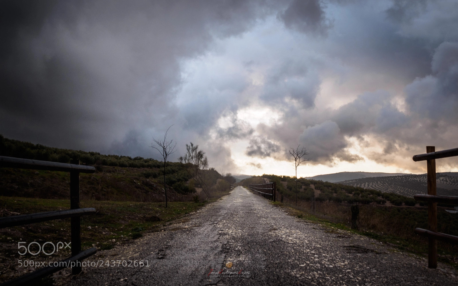 Olympus OM-D E-M1 sample photo. Senda tormentosa photography
