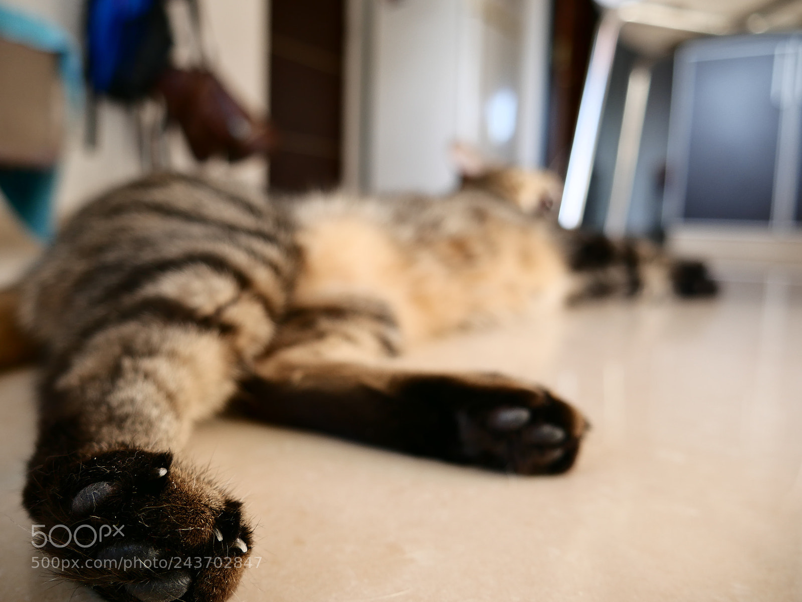 Panasonic Lumix DMC-G7 sample photo. P photography