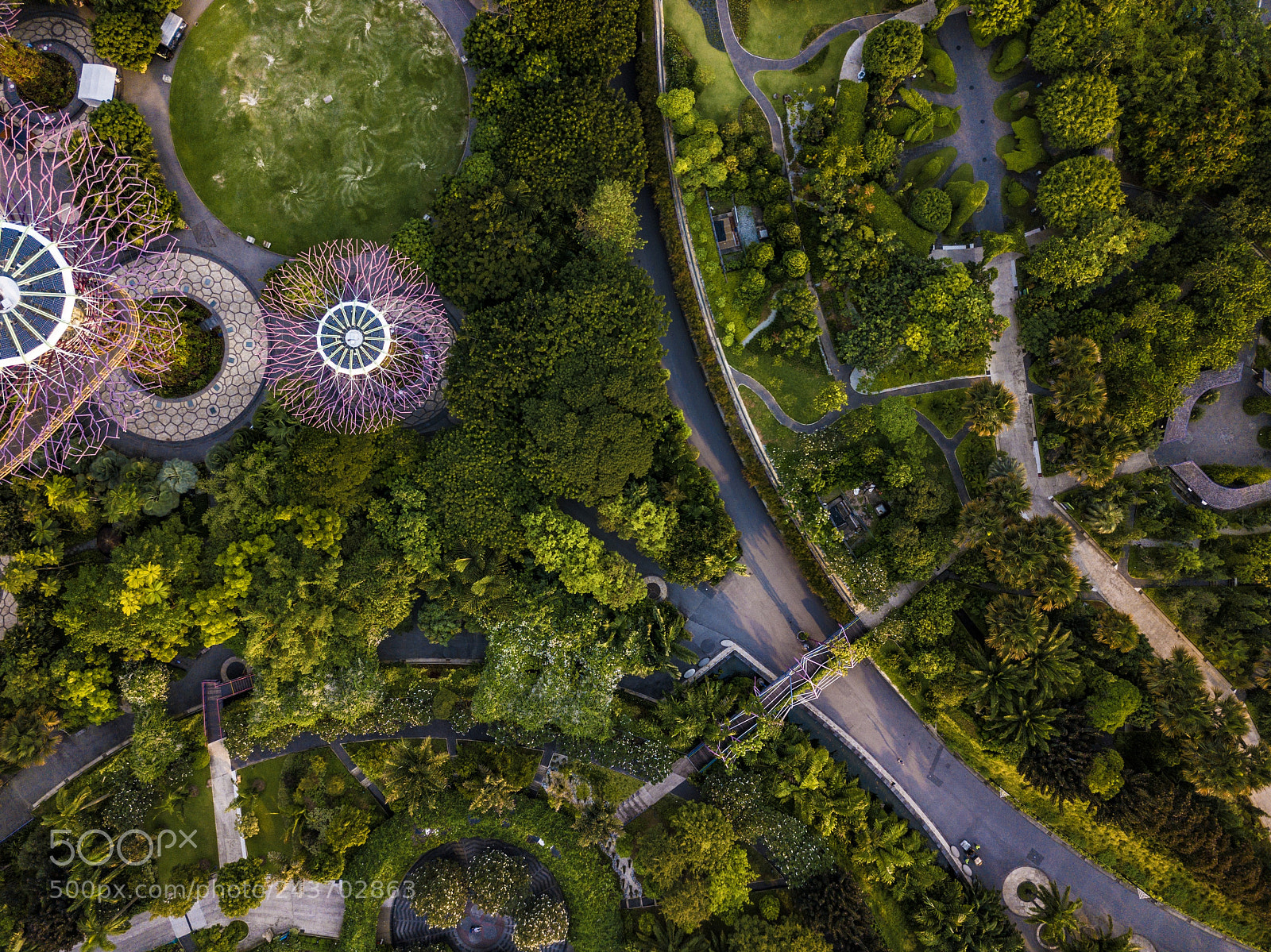 DJI FC220 sample photo. Gardens by the bay photography