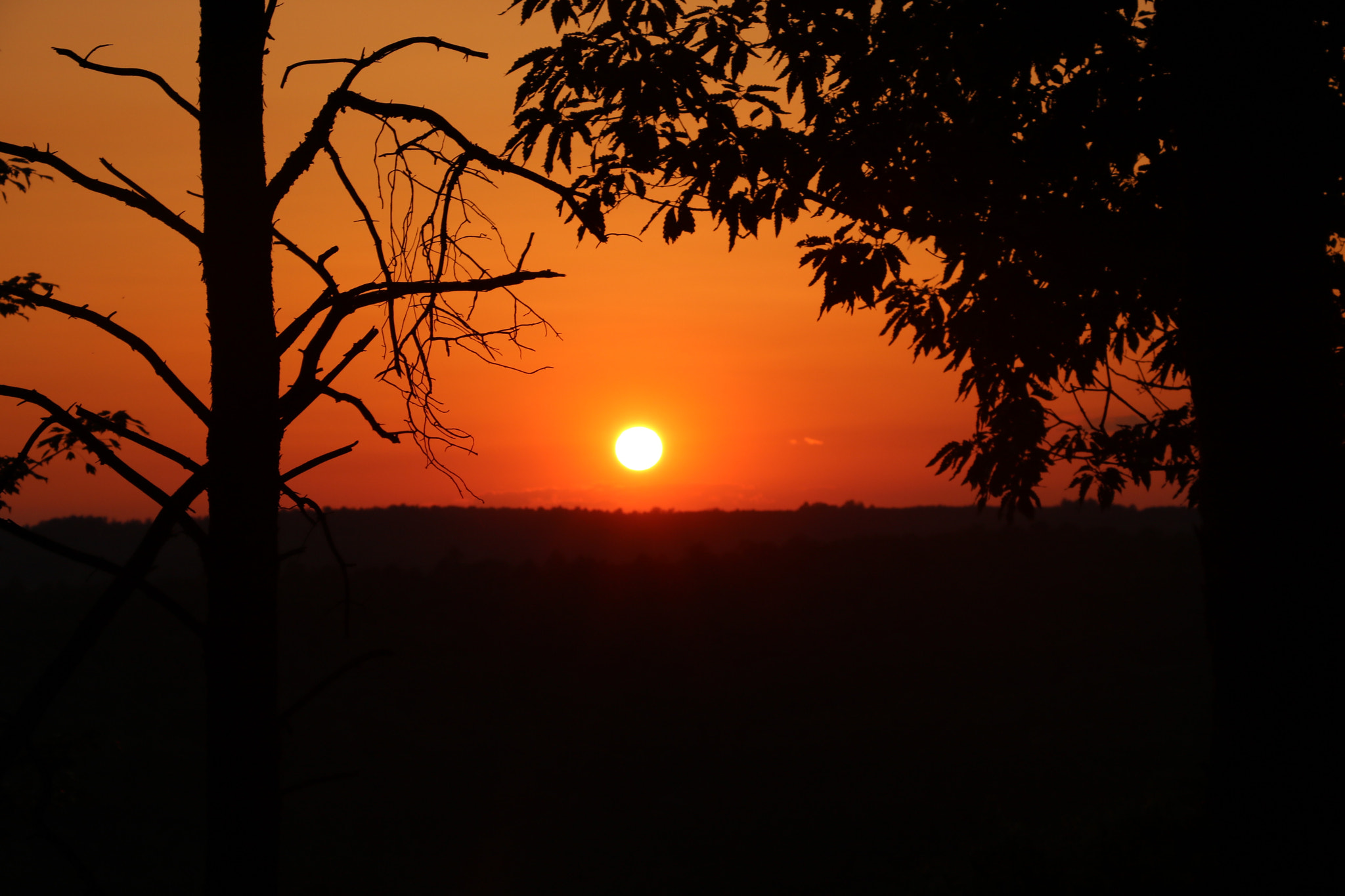 Canon EOS 750D (EOS Rebel T6i / EOS Kiss X8i) sample photo. Sunset over tennessee photography