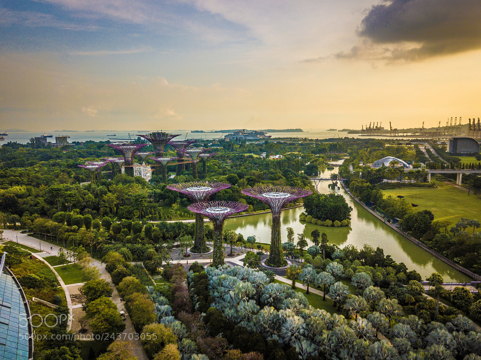 DJI FC220 sample photo. Gardens by the bay photography