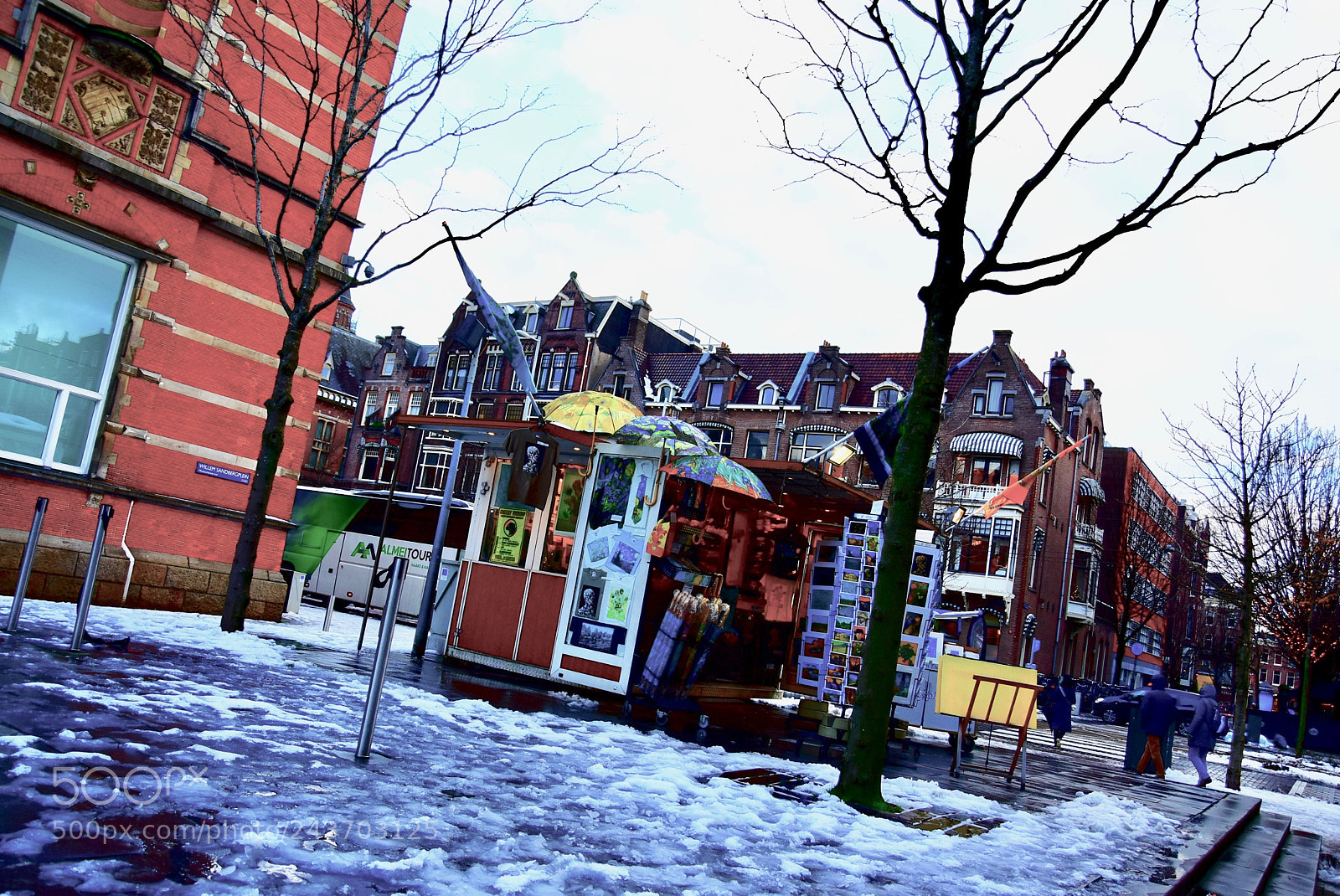 Nikon D3400 sample photo. Vangoghpresent photography