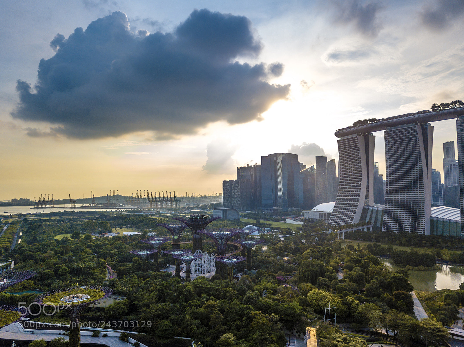 DJI FC220 sample photo. The gardens, the docks photography