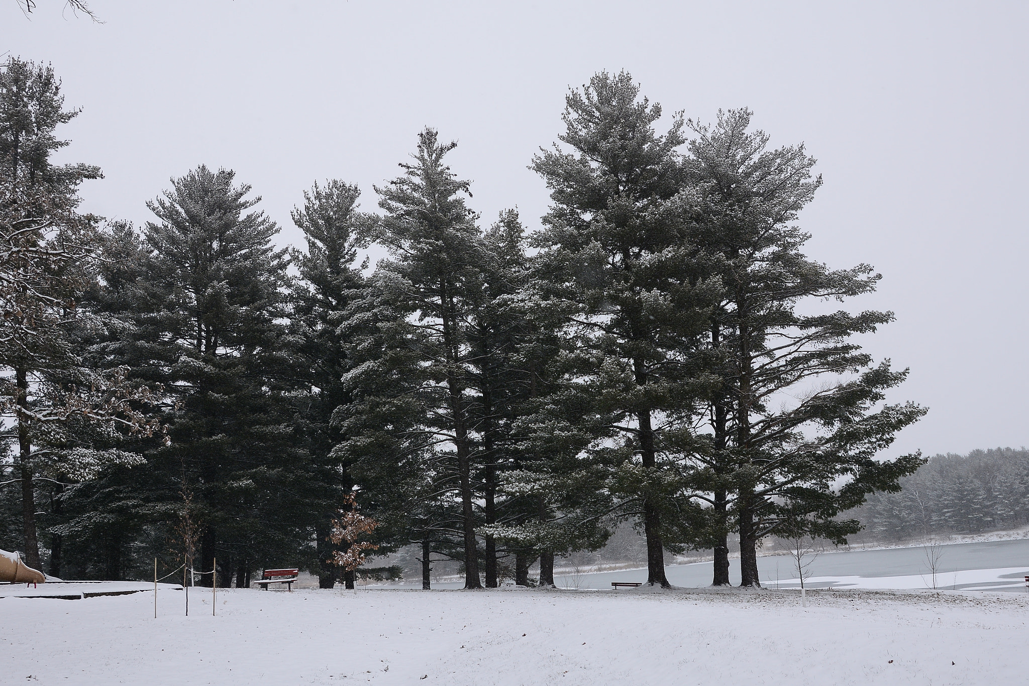 Sigma 17-50mm F2.8 EX DC OS HSM sample photo. Winter photography