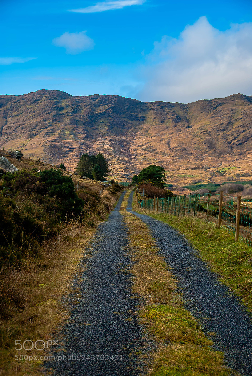 Nikon D60 sample photo. An irish road photography