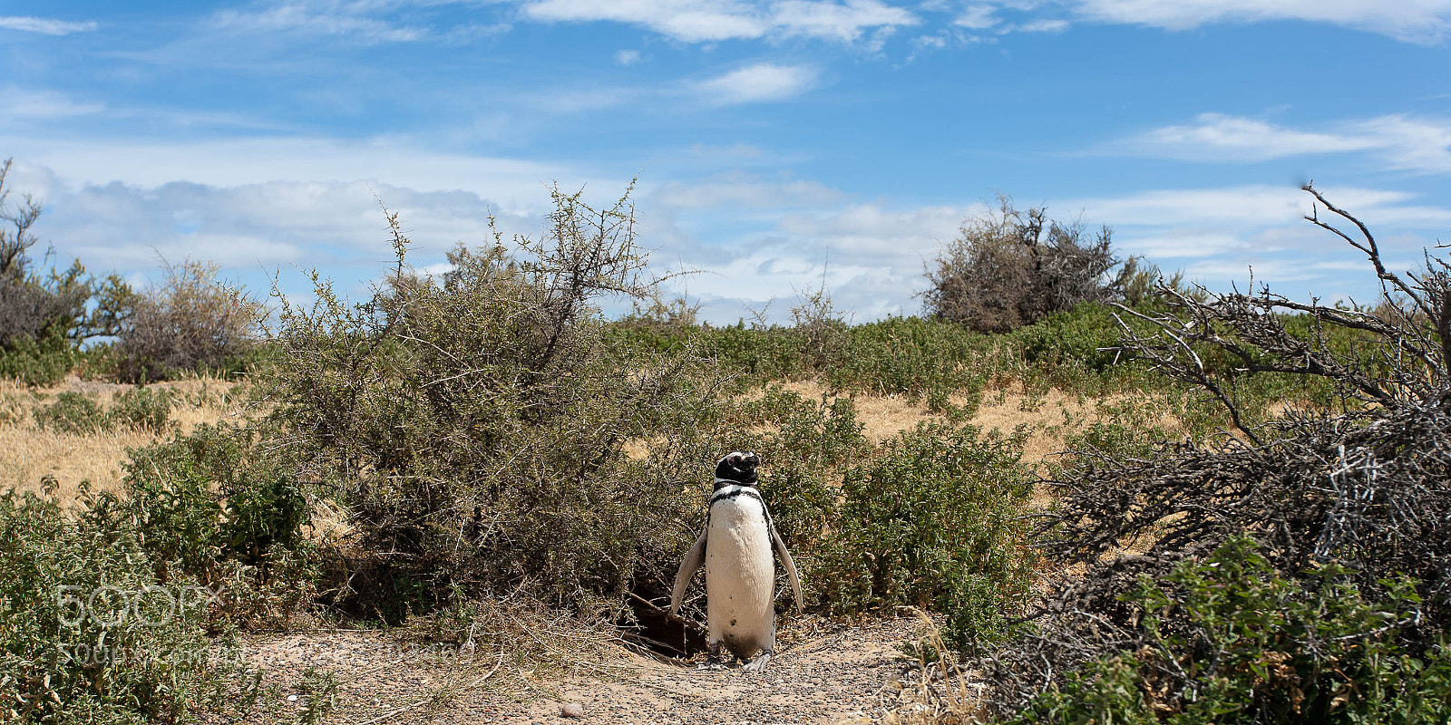 Canon EOS 5D sample photo. Lost in patagonia photography