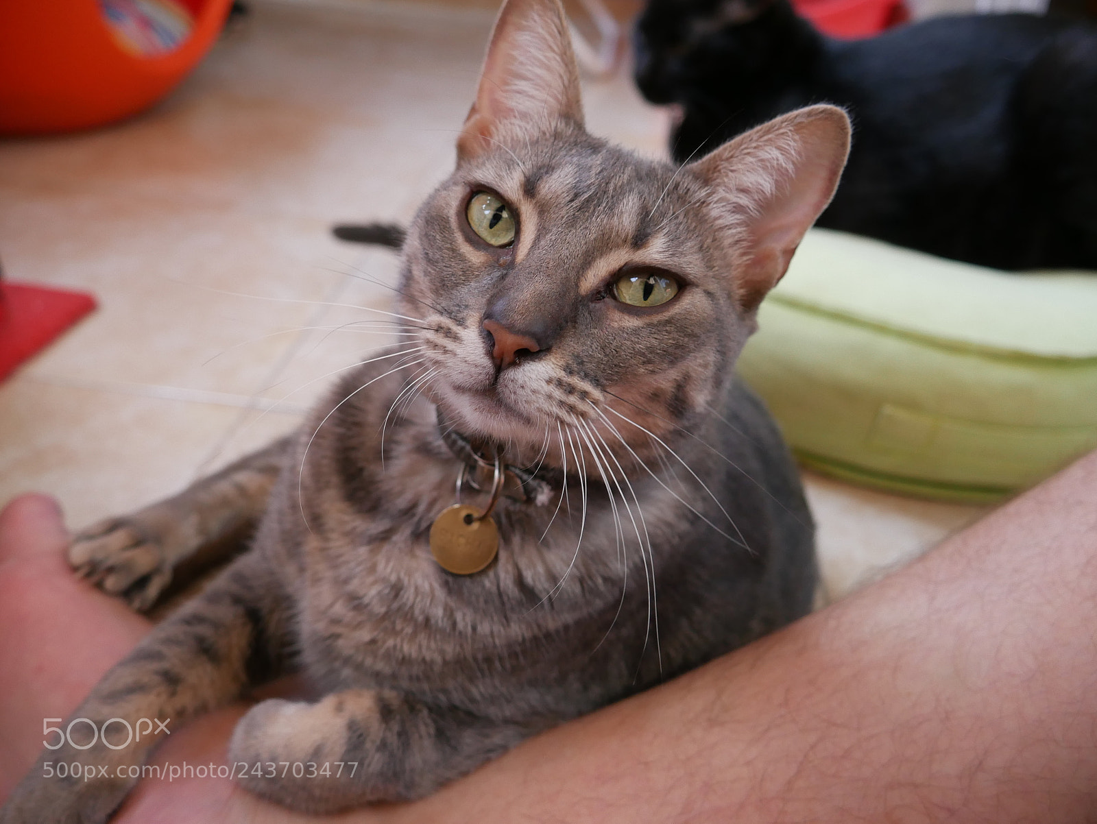 Panasonic Lumix DMC-G7 sample photo. P photography