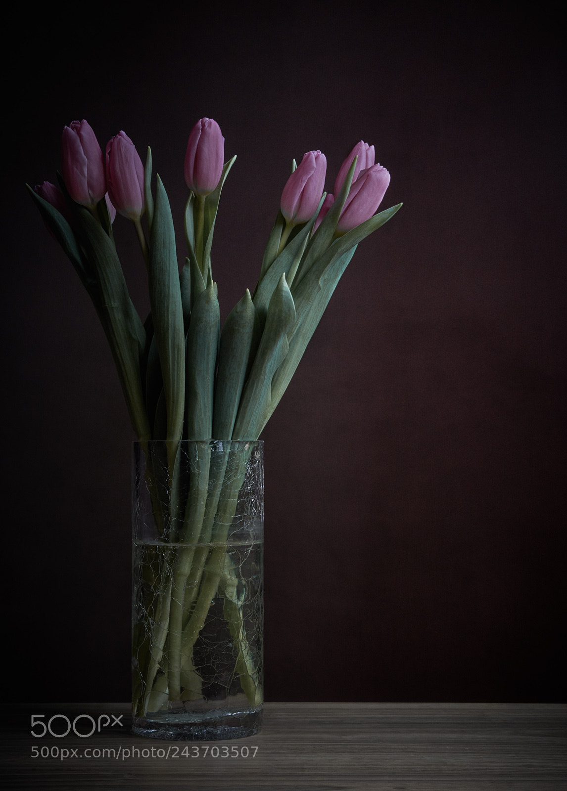 Nikon D7200 sample photo. Pink tulips photography