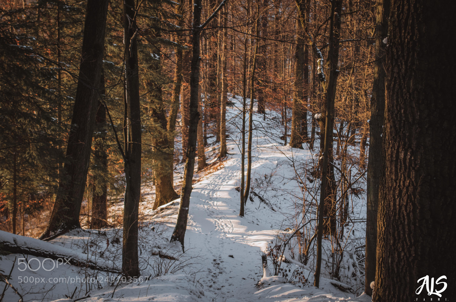 Nikon D5100 sample photo. Way to home photography