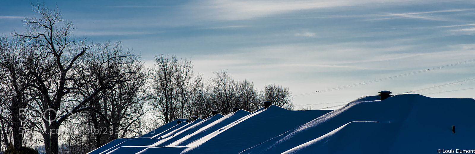 Nikon D810 sample photo. Identiques photography