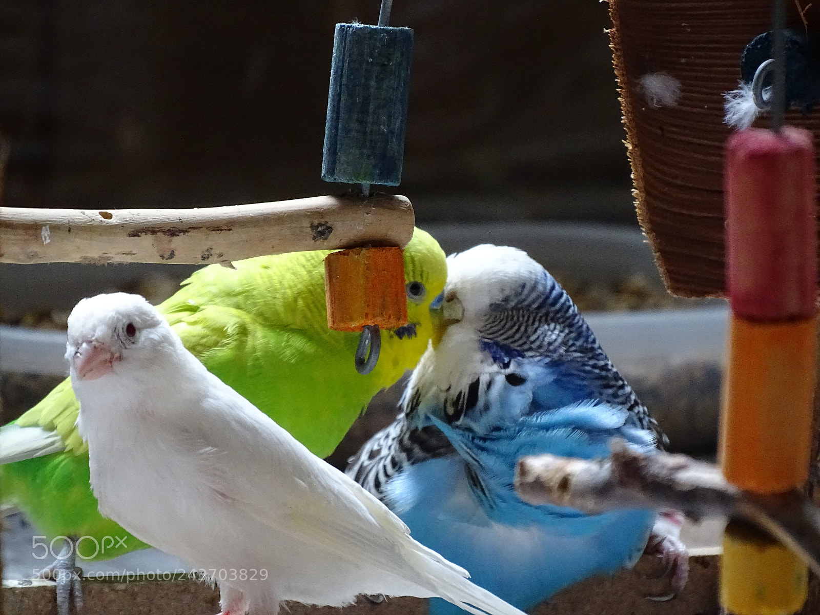 Sony Cyber-shot DSC-HX400V sample photo. Dsc photography