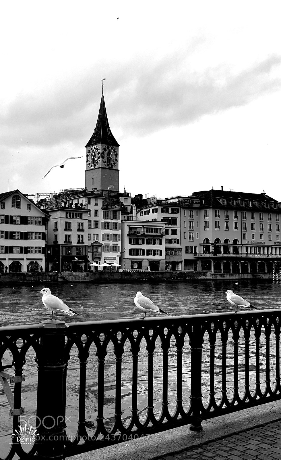 Samsung Galaxy S8+ sample photo. In zurich photography