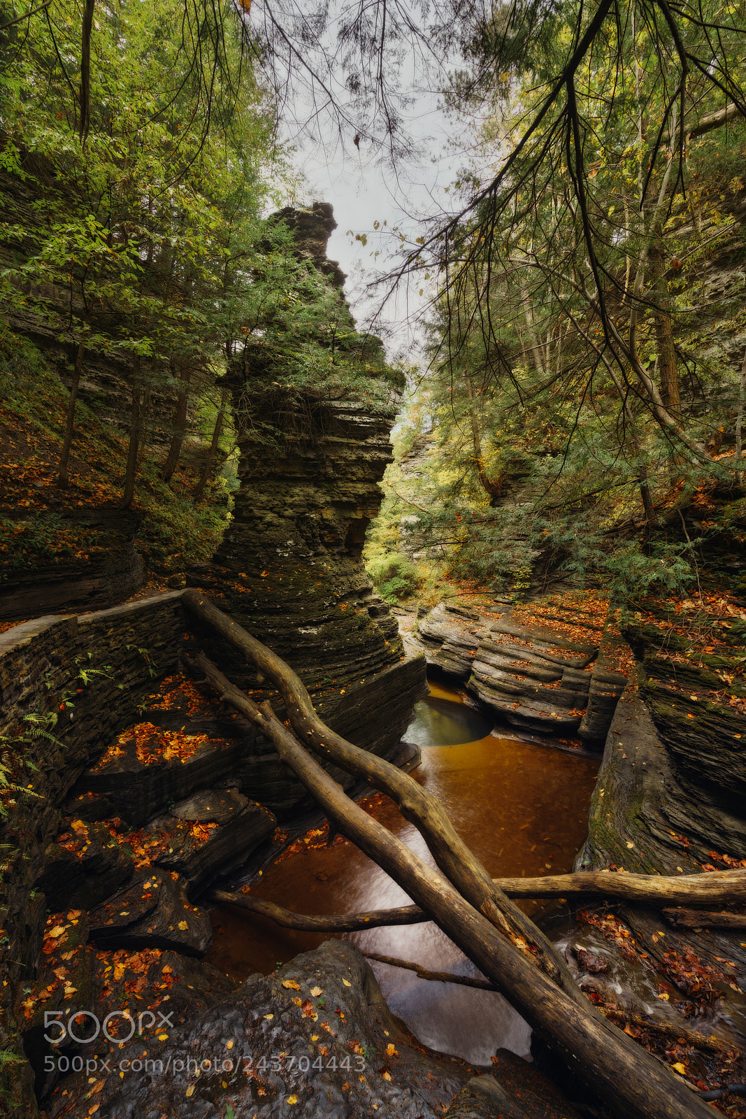 Sony a7R II sample photo. Logjammin - buttermilk falls photography