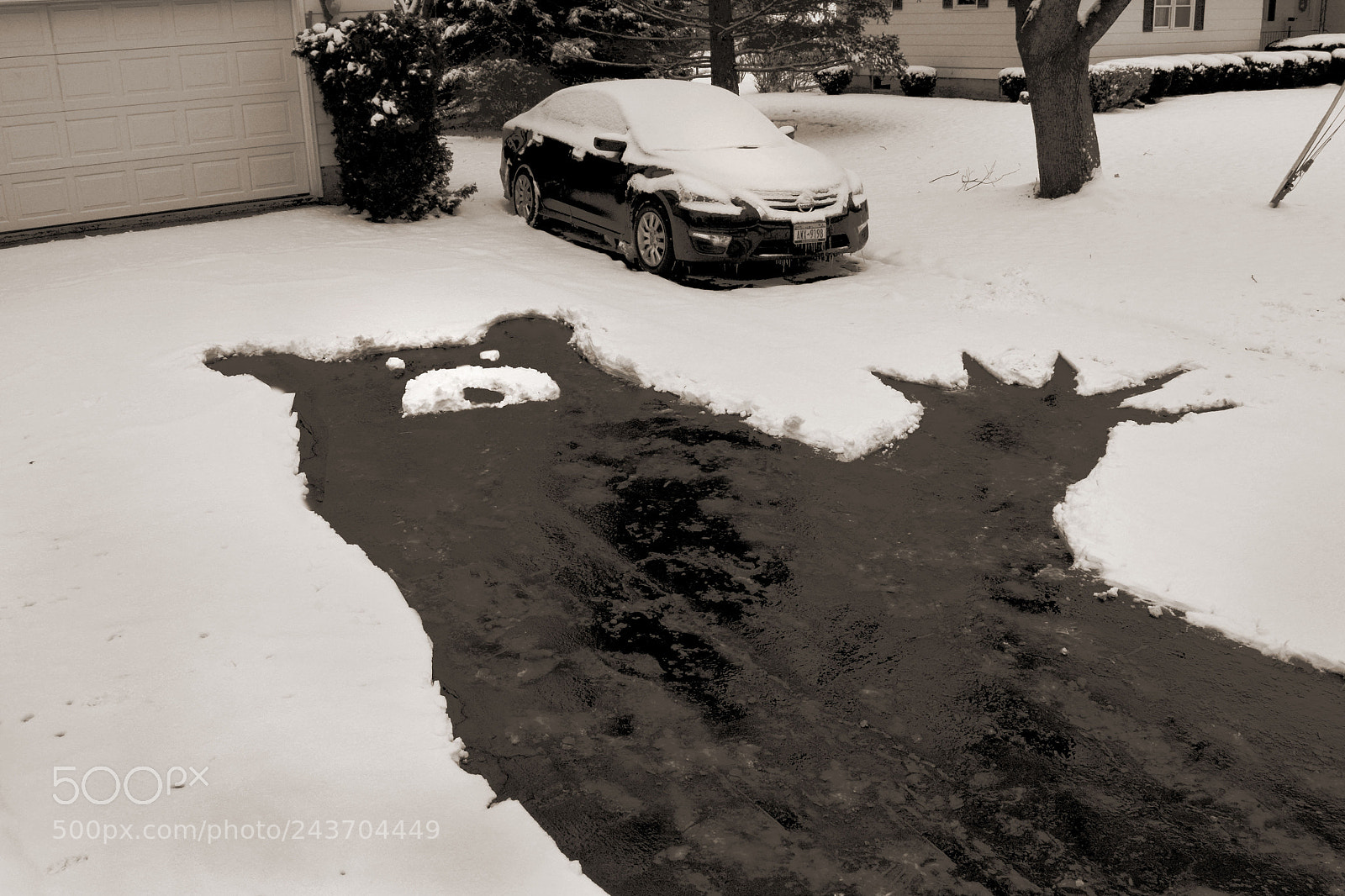 Nikon D7100 sample photo. Shoveled my driveway photography