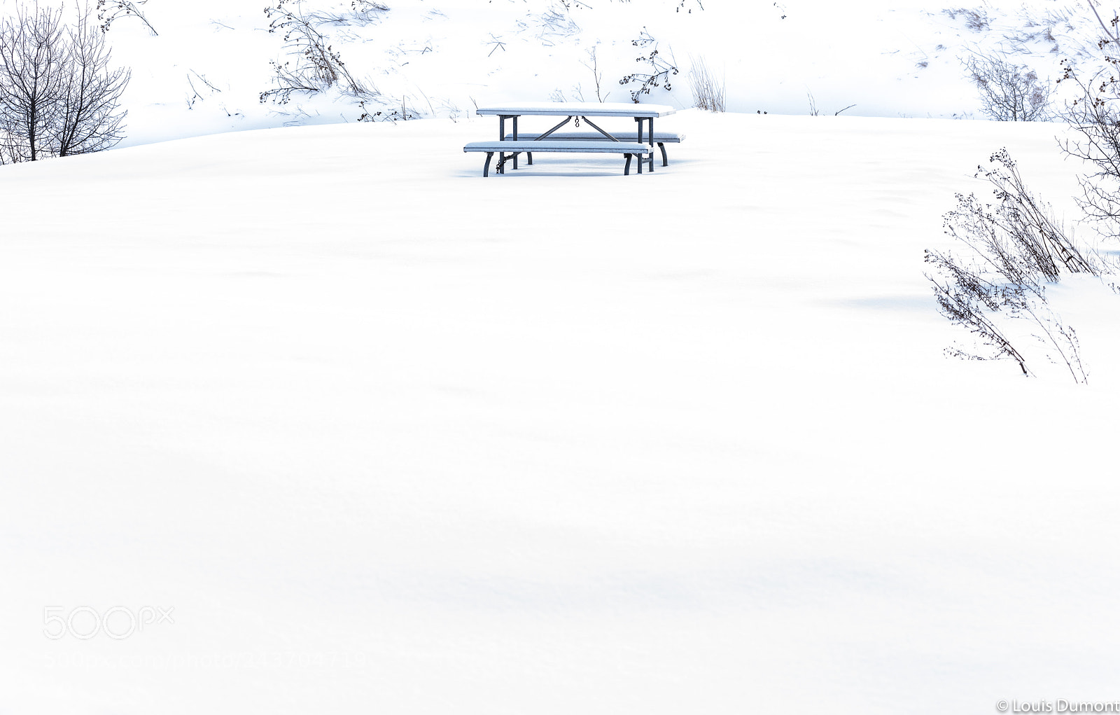 Nikon D810 sample photo. Pique nique en blanc photography