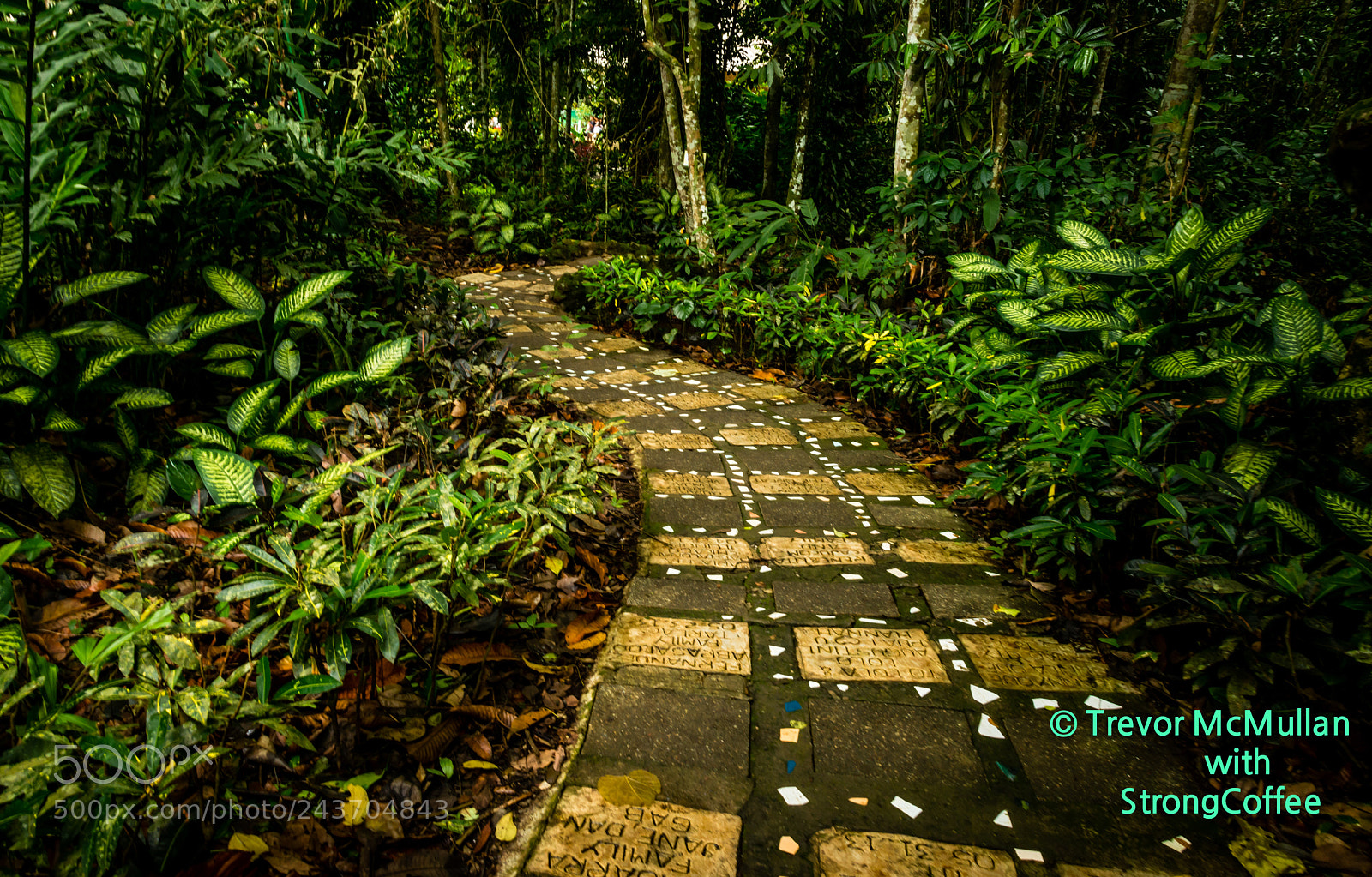 Nikon D800 sample photo. Yellow brick road photography
