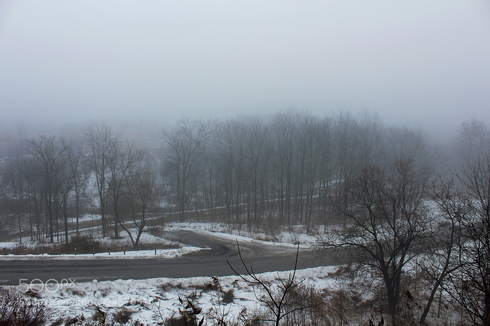 Canon EOS 1200D (EOS Rebel T5 / EOS Kiss X70 / EOS Hi) sample photo. Foggy morning photography