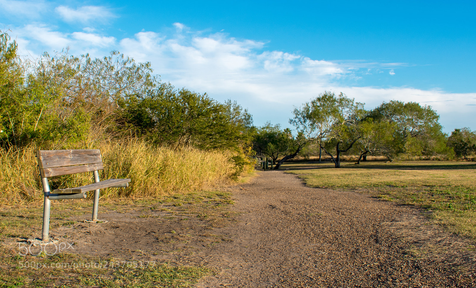 Nikon D3400 sample photo. Park bench photography
