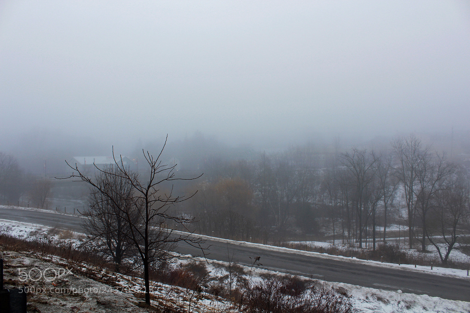Canon EOS 1200D (EOS Rebel T5 / EOS Kiss X70 / EOS Hi) sample photo. Foggy morning photography
