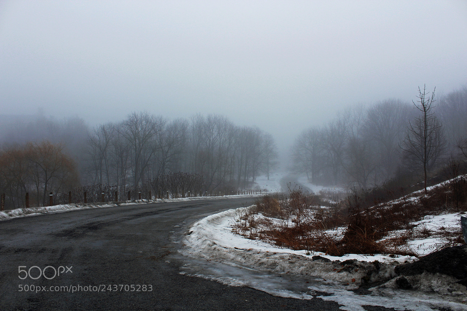 Canon EOS 1200D (EOS Rebel T5 / EOS Kiss X70 / EOS Hi) sample photo. Foggy morning photography