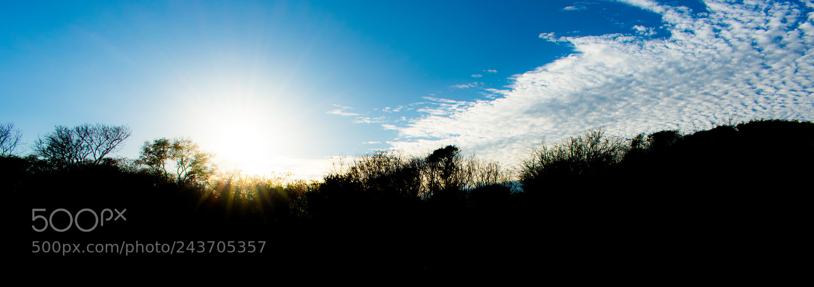 Nikon D3400 sample photo. Skyline photography