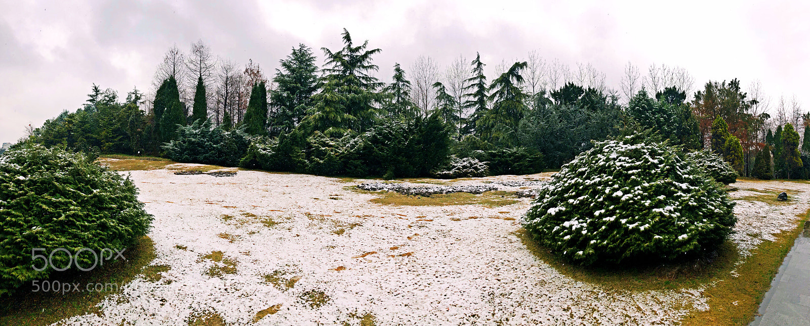 Apple iPhone X sample photo. 孤飞一片雪，百里见秋毫。 photography