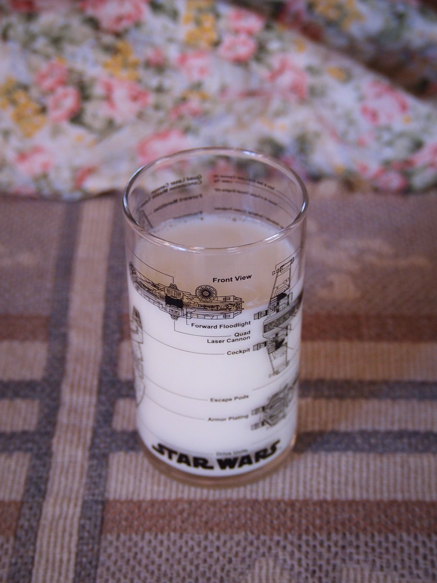 Olympus PEN E-PL2 sample photo. Got the force? photography