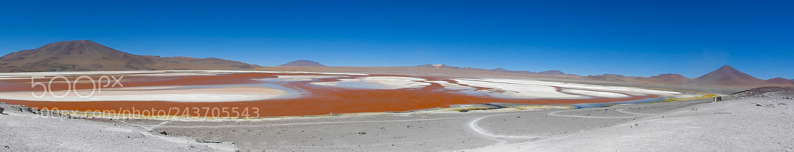 Nikon Coolpix P610 sample photo. Lagua colorada, bolivia photography