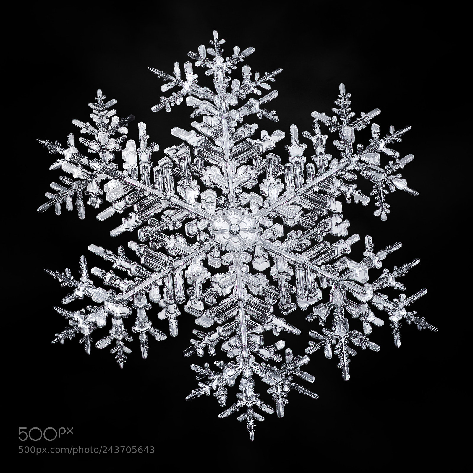 Canon EOS-1D X Mark II sample photo. Snowflake-a-day no. 40 photography