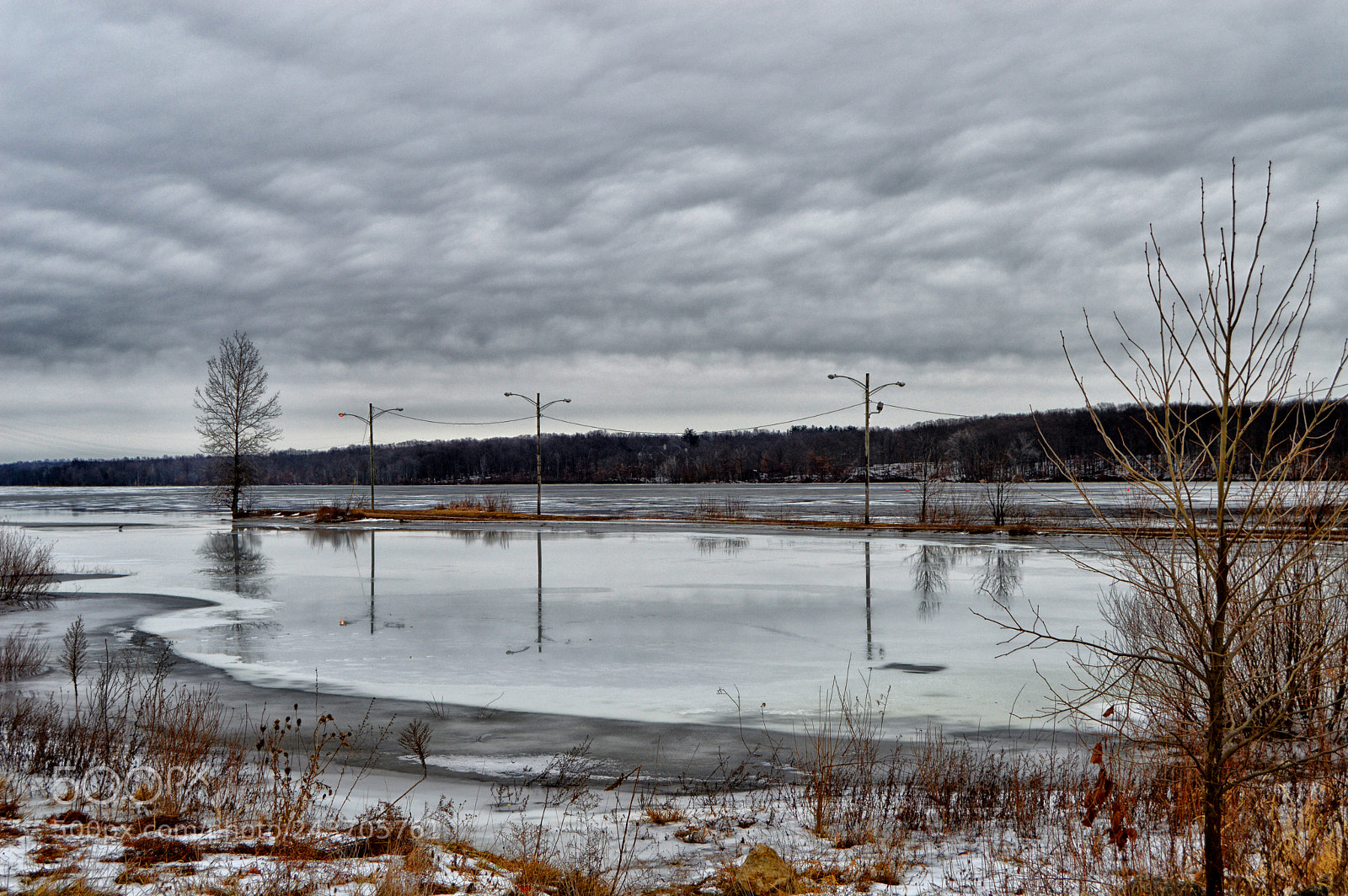 Nikon D3200 sample photo. Power to the point photography